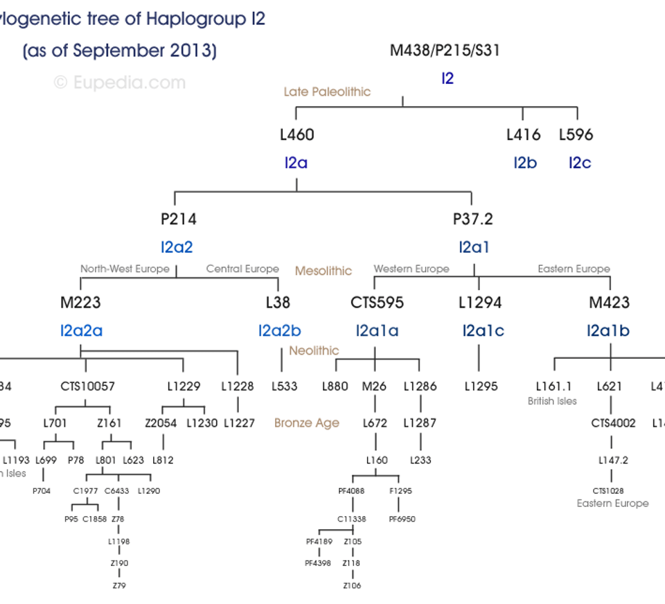 Phylogenetic tree of haplogroup I2 (Y-DNA) - Eupedia