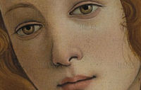 Boticelli's Venus totally wants you