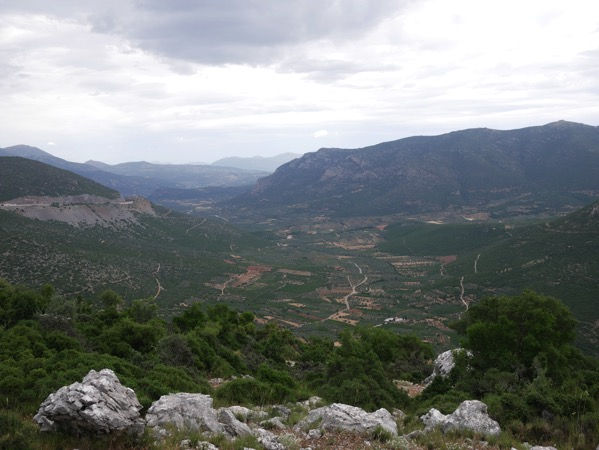 P1000209