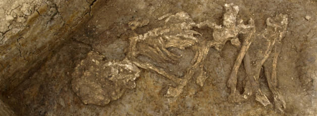 A skeleton found in Britain that was mummified during the Bronze Age. Credit: Geoff Morley