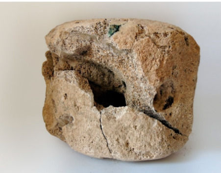 The whale and the ancient Mediterranean.