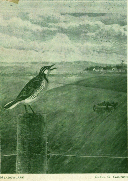 Monosnap 1 North Dakota quarterly v 24 no 2 1956 Full View | HathiTrust Digital Library 2023 09 21 07 24 35