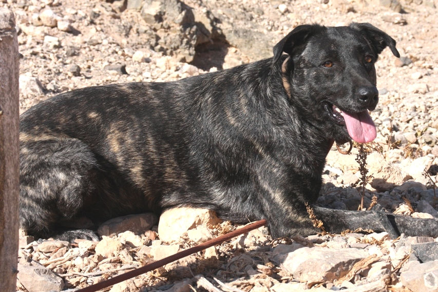 Julieta, 26.08.2025 6 - copia - Kopie.JPG