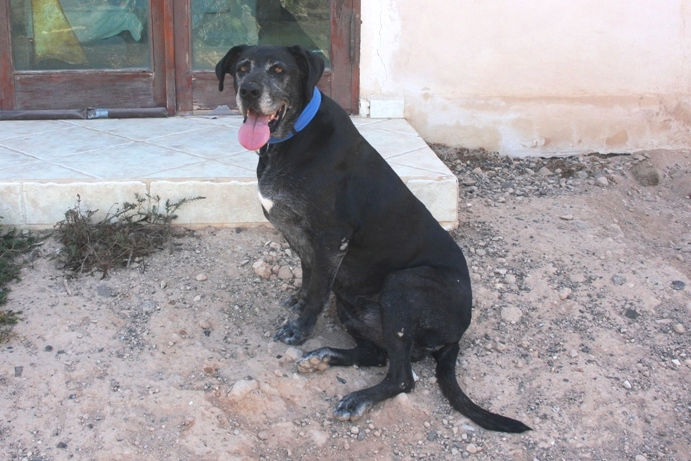 Thor, 28.10.2025 1 - copia - Kopie.JPG