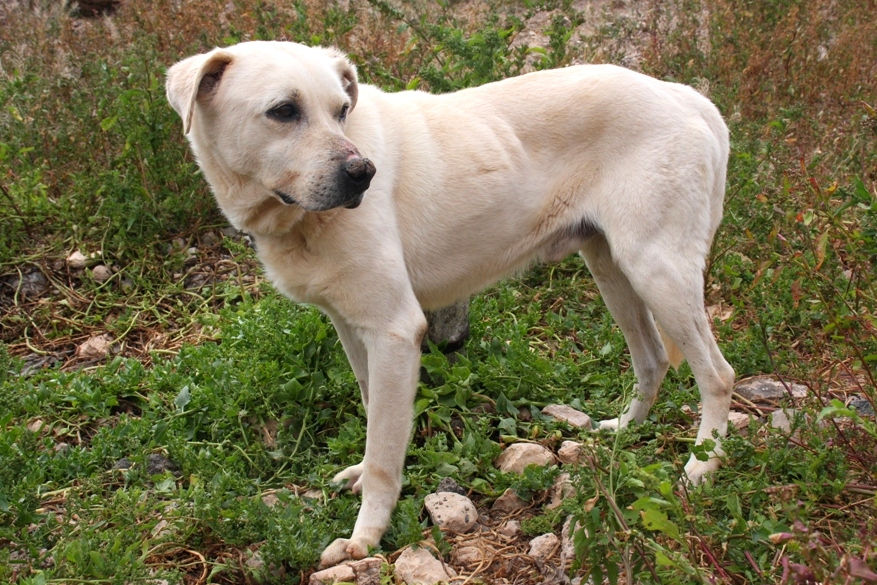 Marley, 17.03.2026 10 - copia - Kopie.JPG