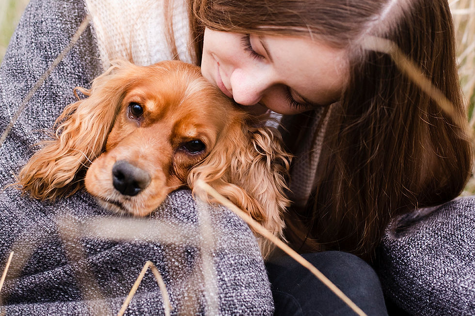 specialdogs-homepage (91)_edited.jpg