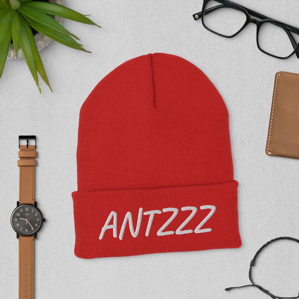 Thumbnail: ANTZZZ Beanie