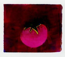 Tomato