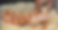 0K4A2233_edited.png