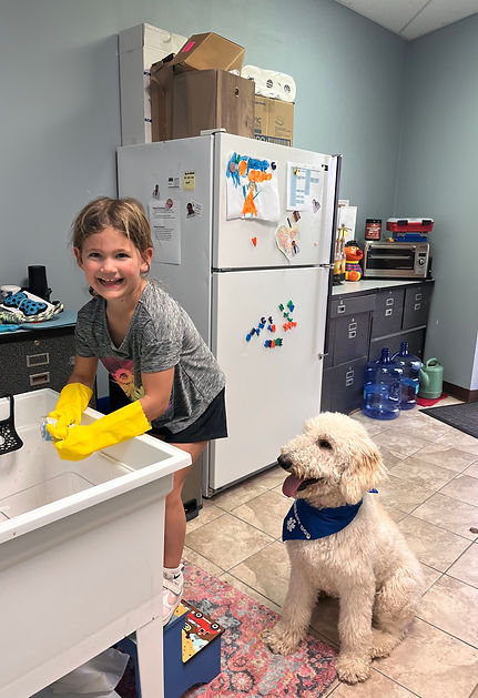 Tucker the Sheepadoodle with young girl