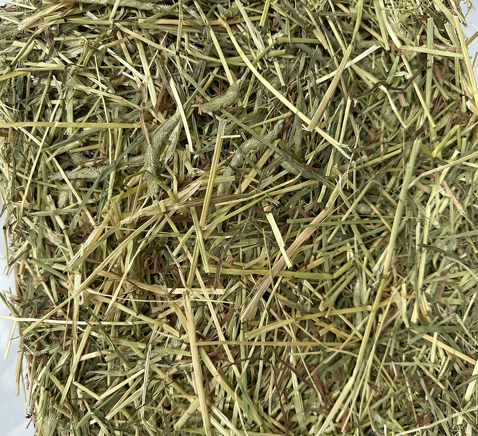 サムネイル： Hay