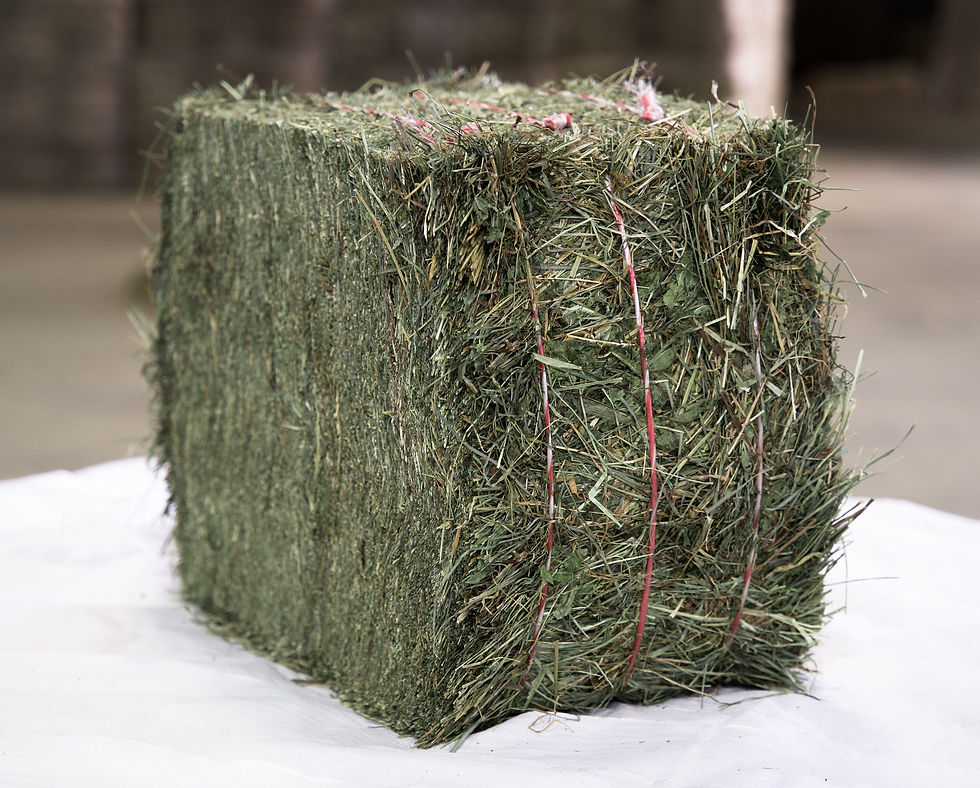 Crau hay bale