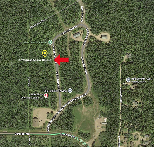 Screenshot 2025-08-05 182255_edited.jpg