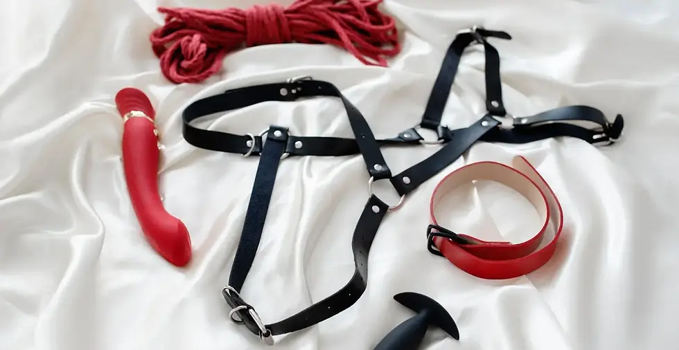 Best Adult Sex Toys