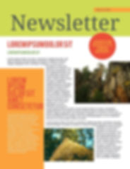 newsletter-citrus-splash_2x.jpeg