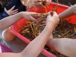 Sticks or tools for education? #novyneststories #preschool #daycare