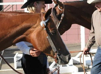 Photo Sandhill Performance Horses
Photo of Sandhill Performance Horses Team Members Melodie Nelson and Gene Vandenberg
