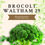 Miniatura: Semillas de brócoli  COBO
