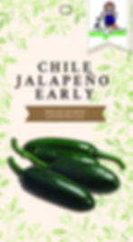 Semillas de chile jalapeño
