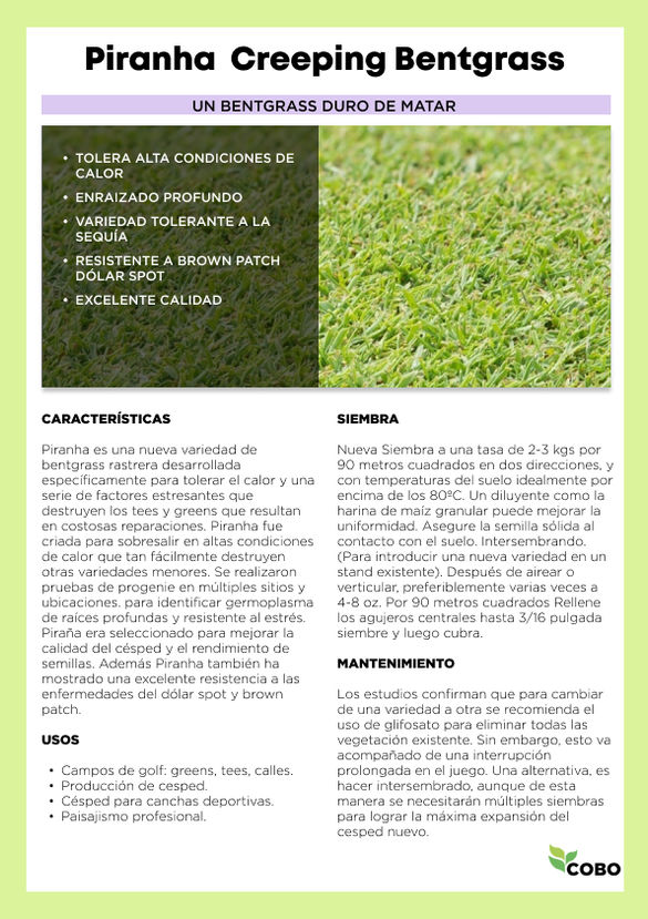 Catalogo de semillas de pasto 2025