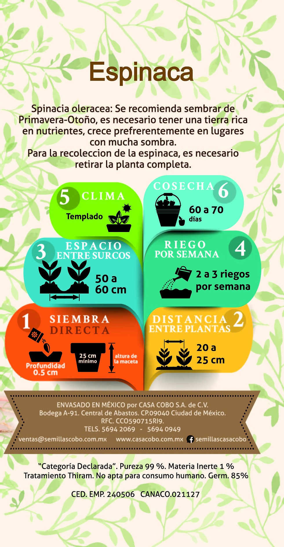 Semillas de espinaca COBO instrucciones