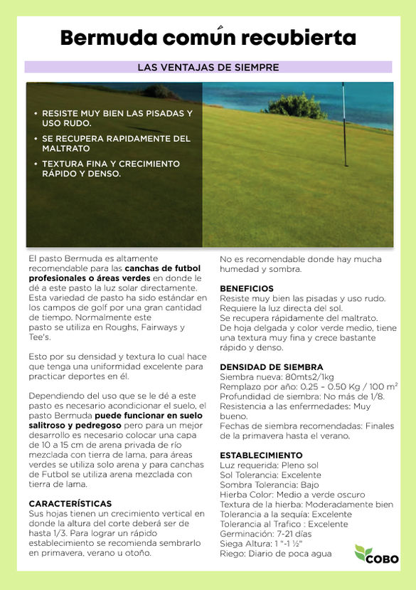 Catalogo de semillas de pasto 2025