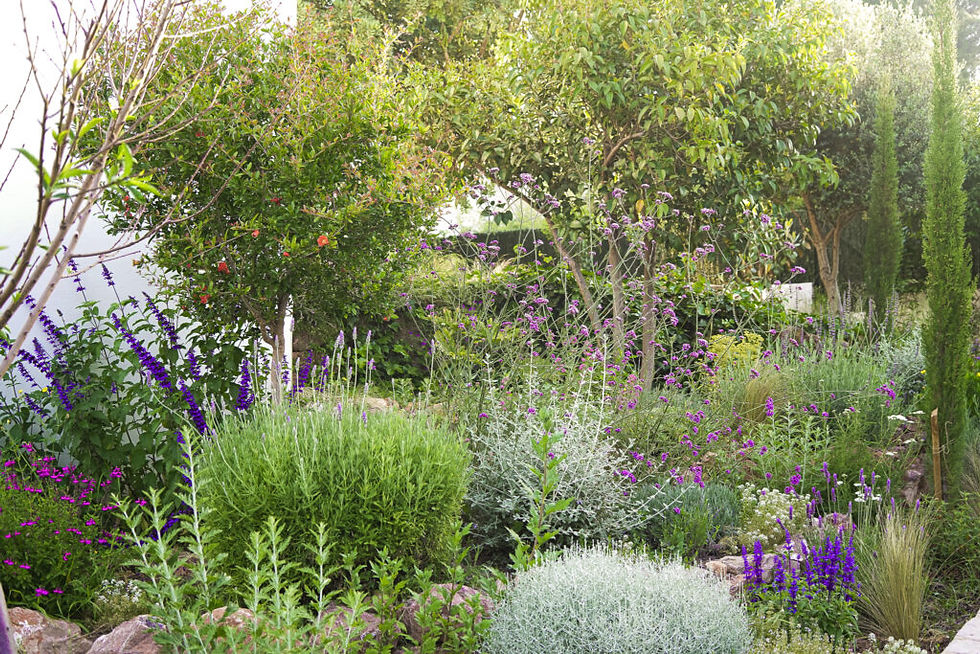 Jardin naturalista