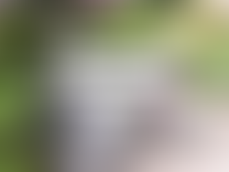 Las mejores estrategias para ahorrar agua en un huerto urbano