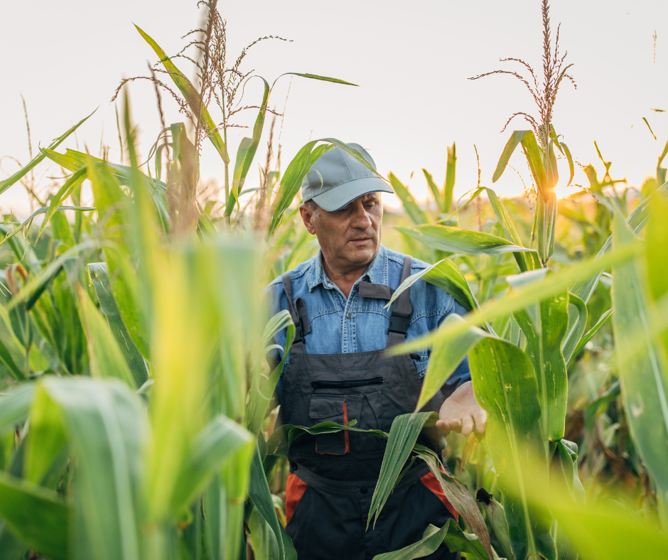 agricultor