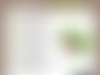 Calendario de siembra de hierbas aromáticas