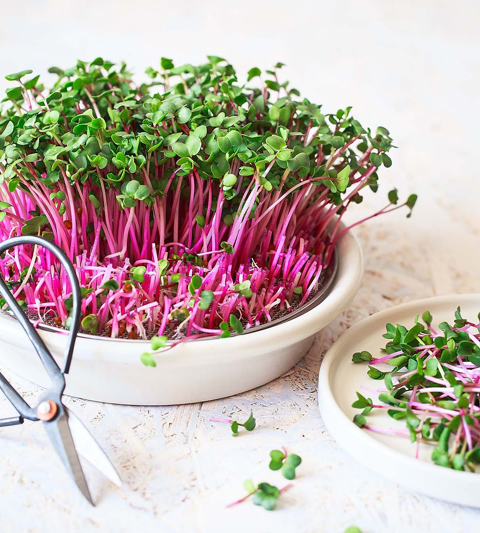 Microgreens: ¡Superalimentos en 7 Días!