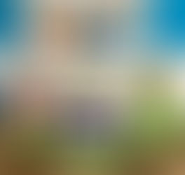 7 variedades de césped para jardín privado