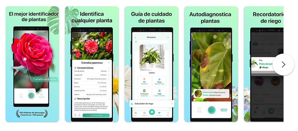 PictureThis app sobre plantas