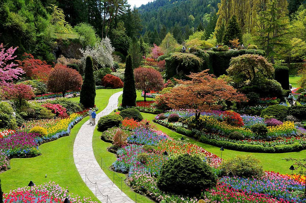 Butchart Gardens