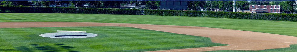 Semillas de pasto Ryegrass perenne Turf Slugger