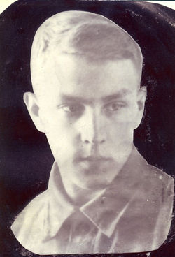 Великодворский А.Н.