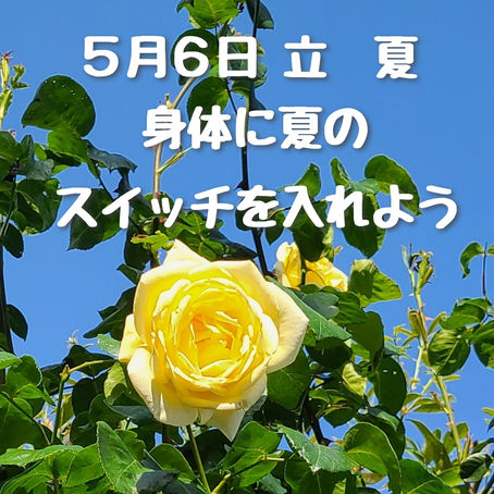 夏の準備