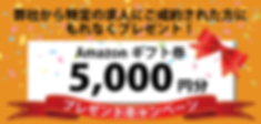 アアマゾンギフト券5000円プレゼントキャンペーン