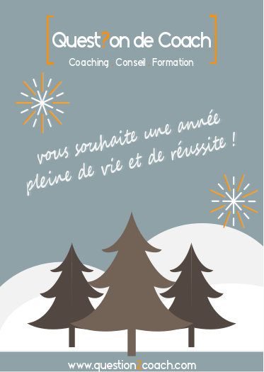 Je vous souhaite une belle année 2017