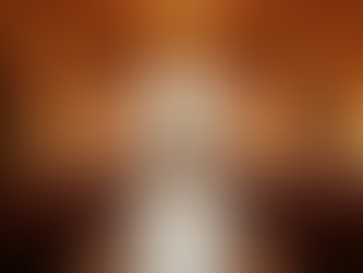 Explore the Charm of Rhine Hall Tours: Unique Event Tours in Kokomo