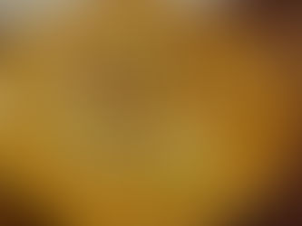 Homemade Chicken Pot Pie