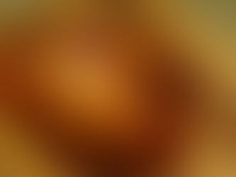 Smoked Turkey Breast in the Pellet Smoker