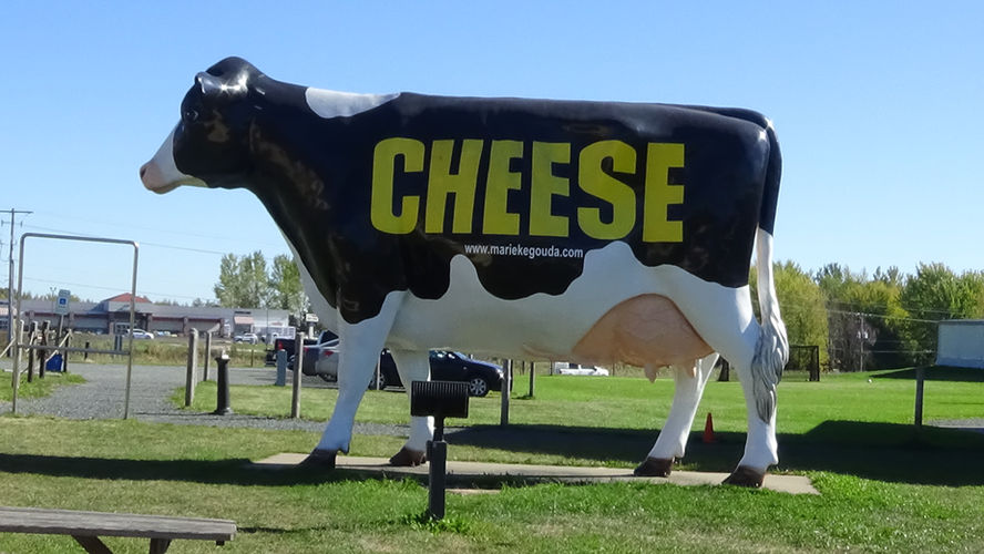 Tour of a Wisconsin Dairy Farm & Cheese Factory