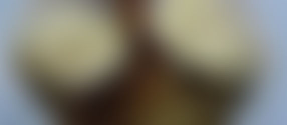 Spiced Apple Cobbler in the Instant Pot