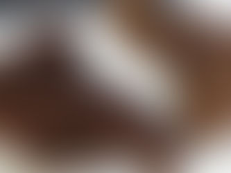 Sous Vide Tri Tip with Trader Joe's Coffee & Garlic Rub