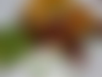 Tex Mex Casserole (Keto Friendly)