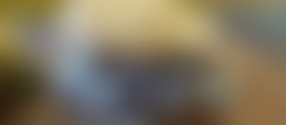 Mushroom & Swiss Smash Burgers on the Blackstone Griddle