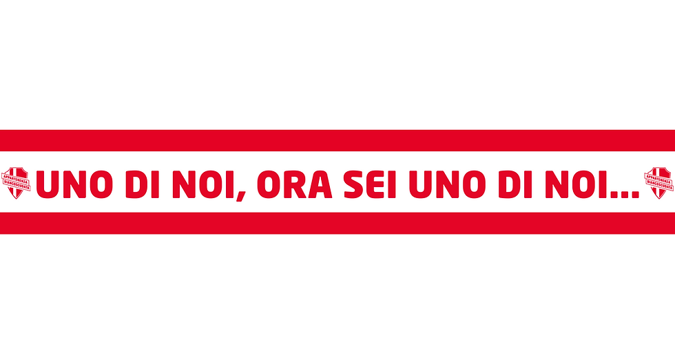 Copia di SENSO di APPARTENENZA Sciarpa.png