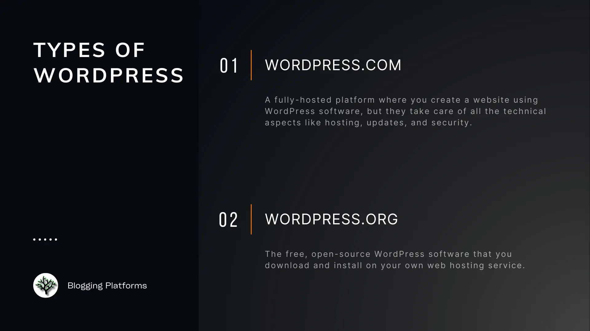 Types of WordPress