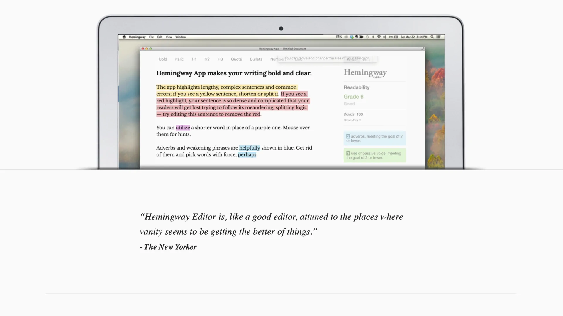 Hemingway Editor Grammar Tool